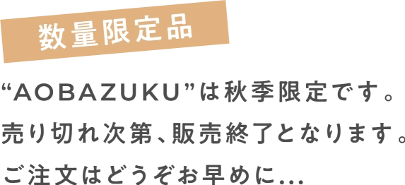 数量限定品