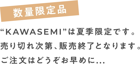 数量限定品