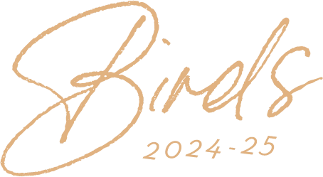 Birds 2024 - 25